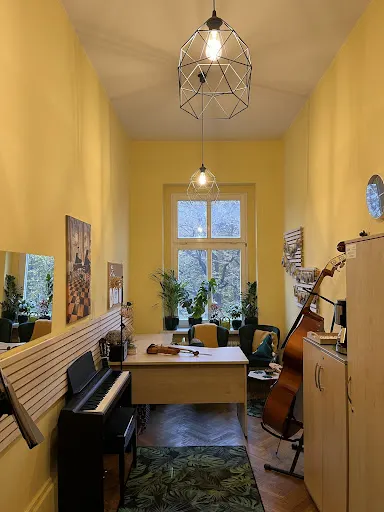 Szkoła Skrzypcowa My Violin Space Antonina Krzyżowska